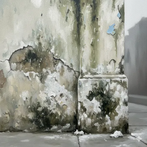 Salitre en los muros de Lima