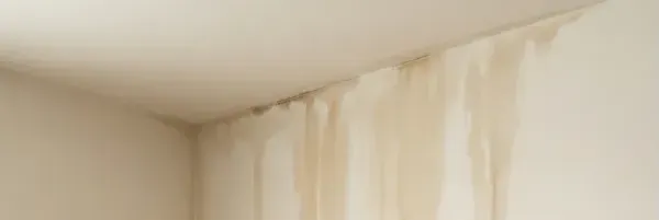 Filtración: mancha en techo