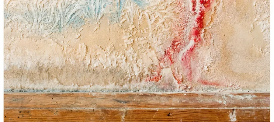 Capilaridad: salitre en zócalo